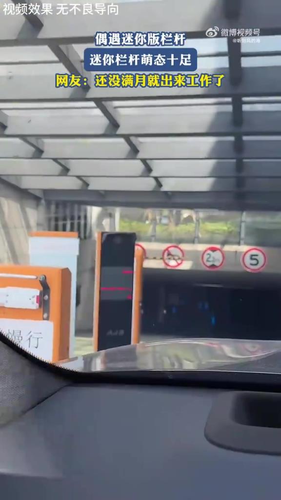 偶遇迷你版栏杆 迷你栏杆萌态十足