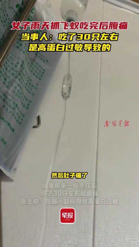 女子雨天抓飛蟻吃完后腹痛，當(dāng)事人：吃了30只左右??！