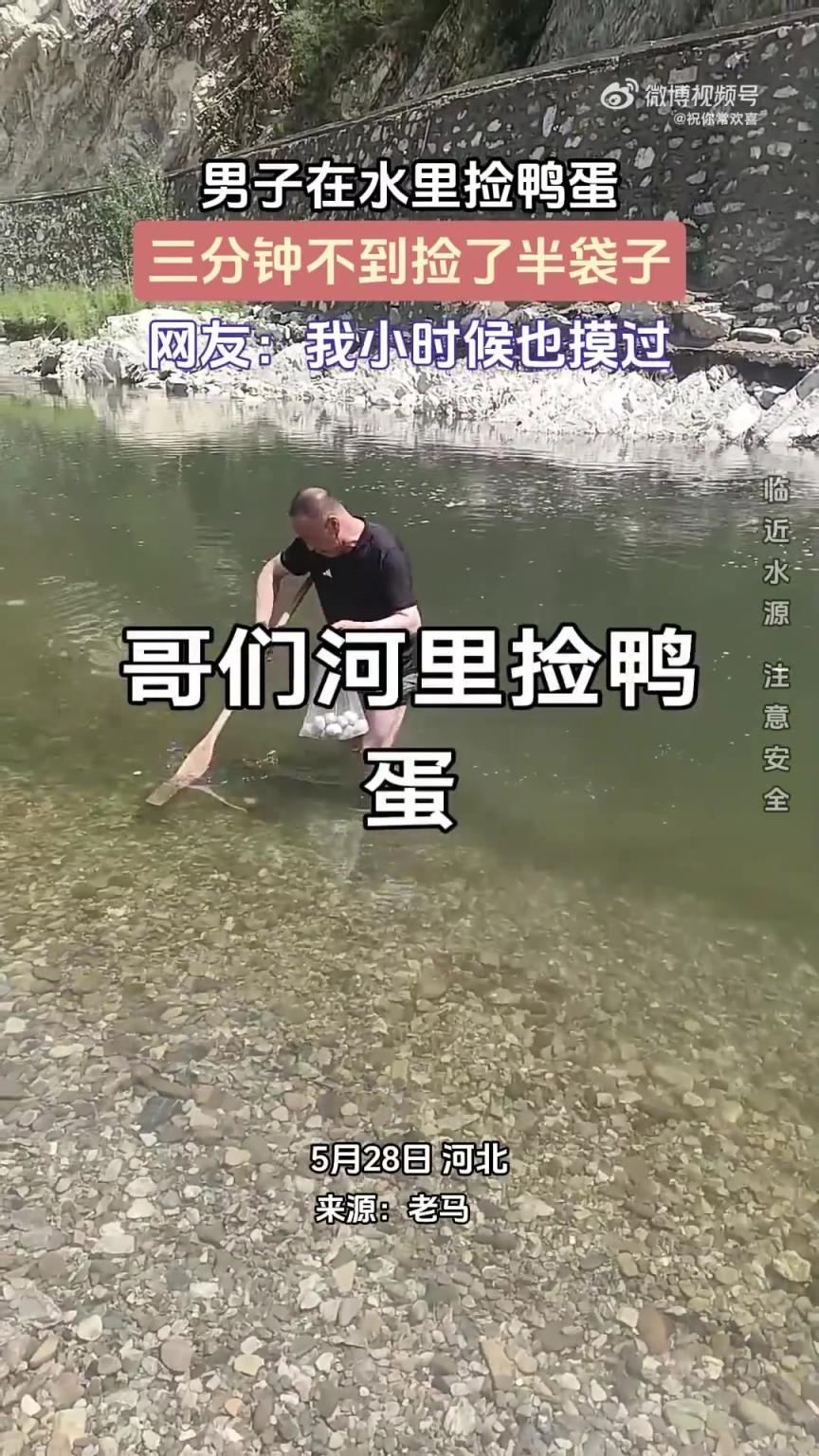 男子在水里捡鸭蛋，三分钟不到捡了半袋子！！