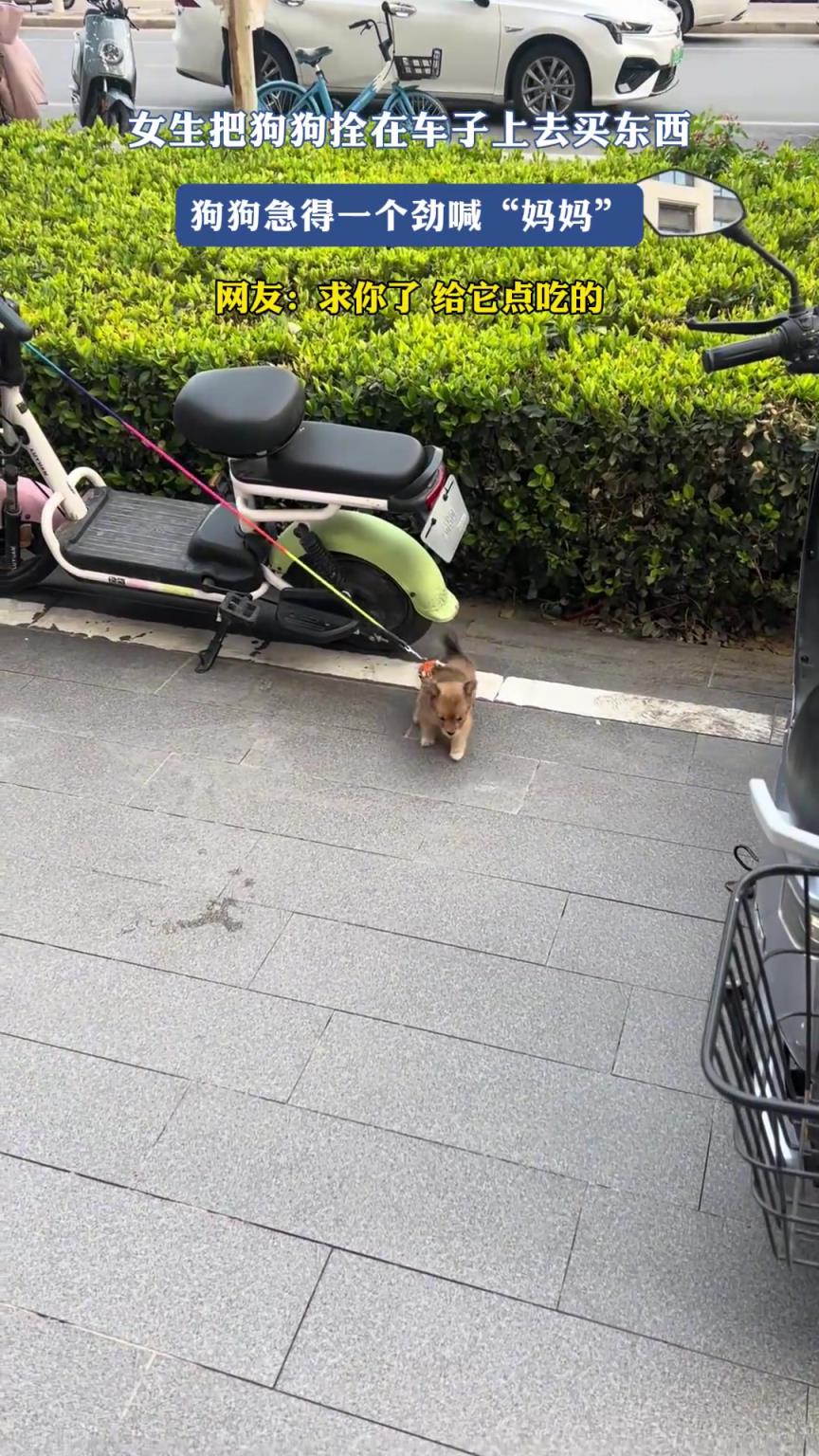 女生把狗狗拴在車子上去買東西，狗狗急得一個勁喊“媽媽”