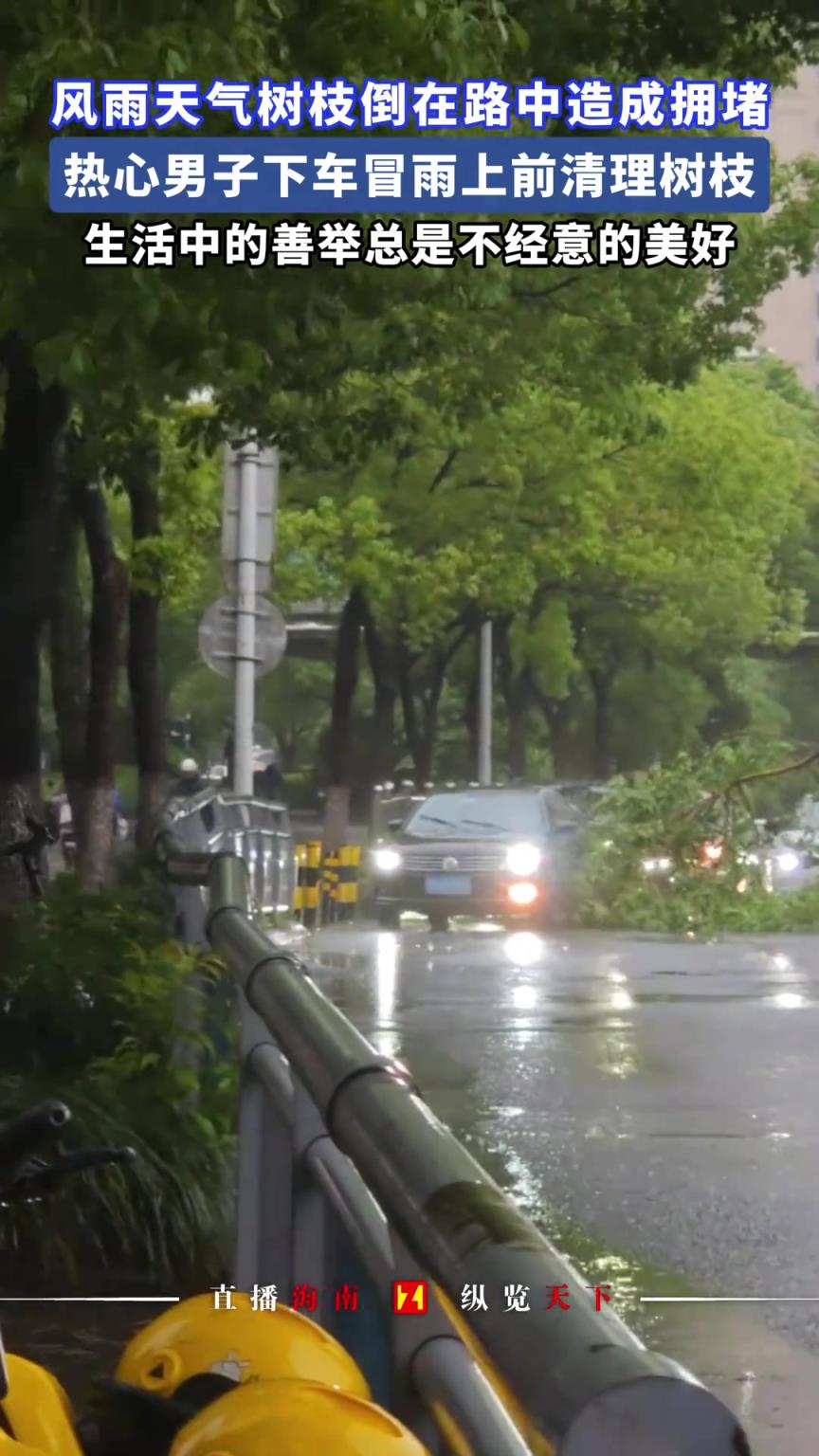 樹(shù)枝倒在路中造成擁堵，熱心男子下車冒雨上前清理樹(shù)枝