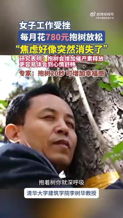 女子工作受挫，每月花780元抱樹尋放松緩解焦慮