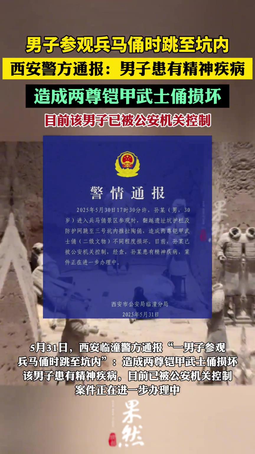 男子参观兵马俑时跳入坑内，造成俑受损！