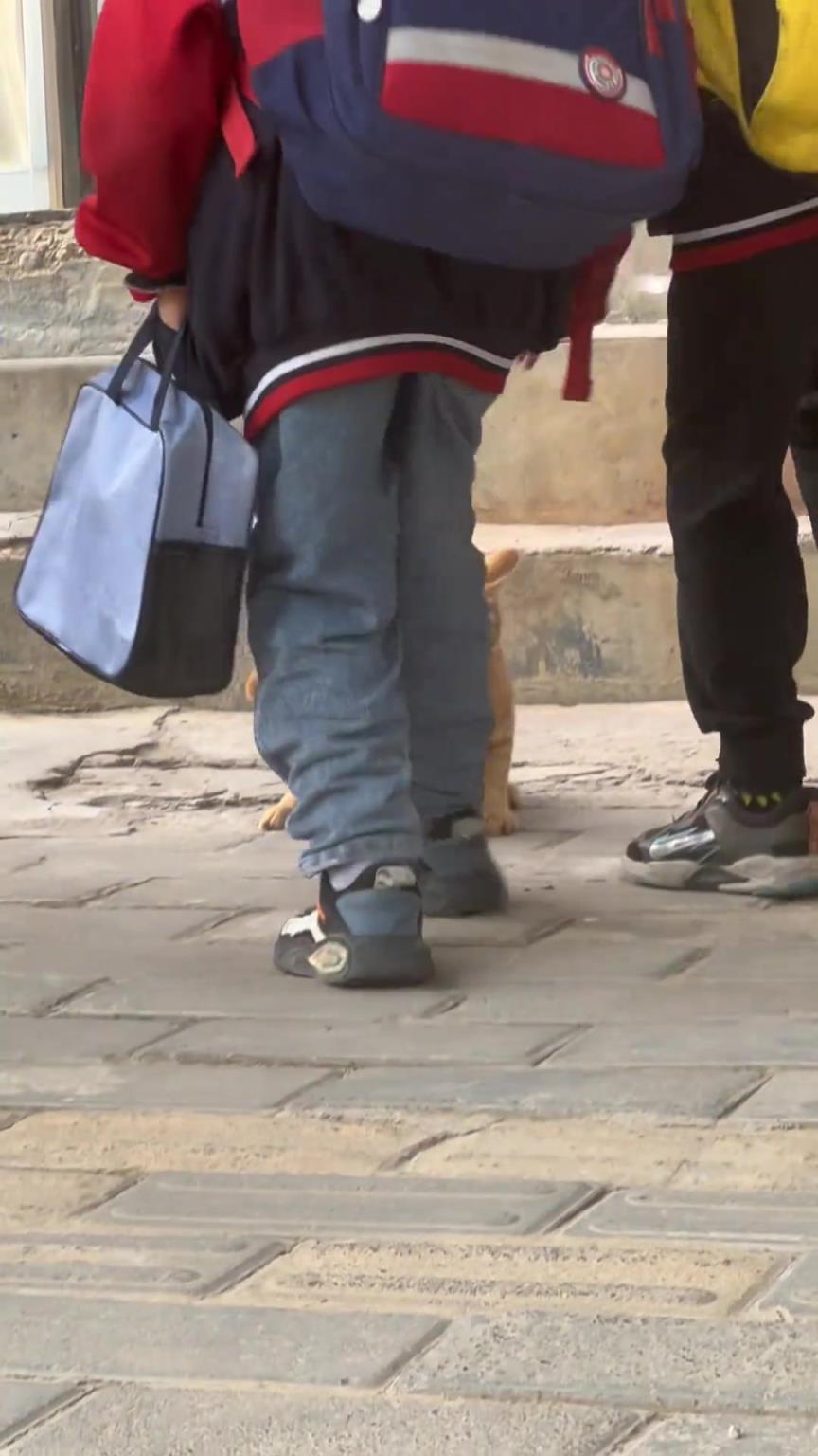 猫：你们礼貌吗？每个人都摸一下就是不给点吃的