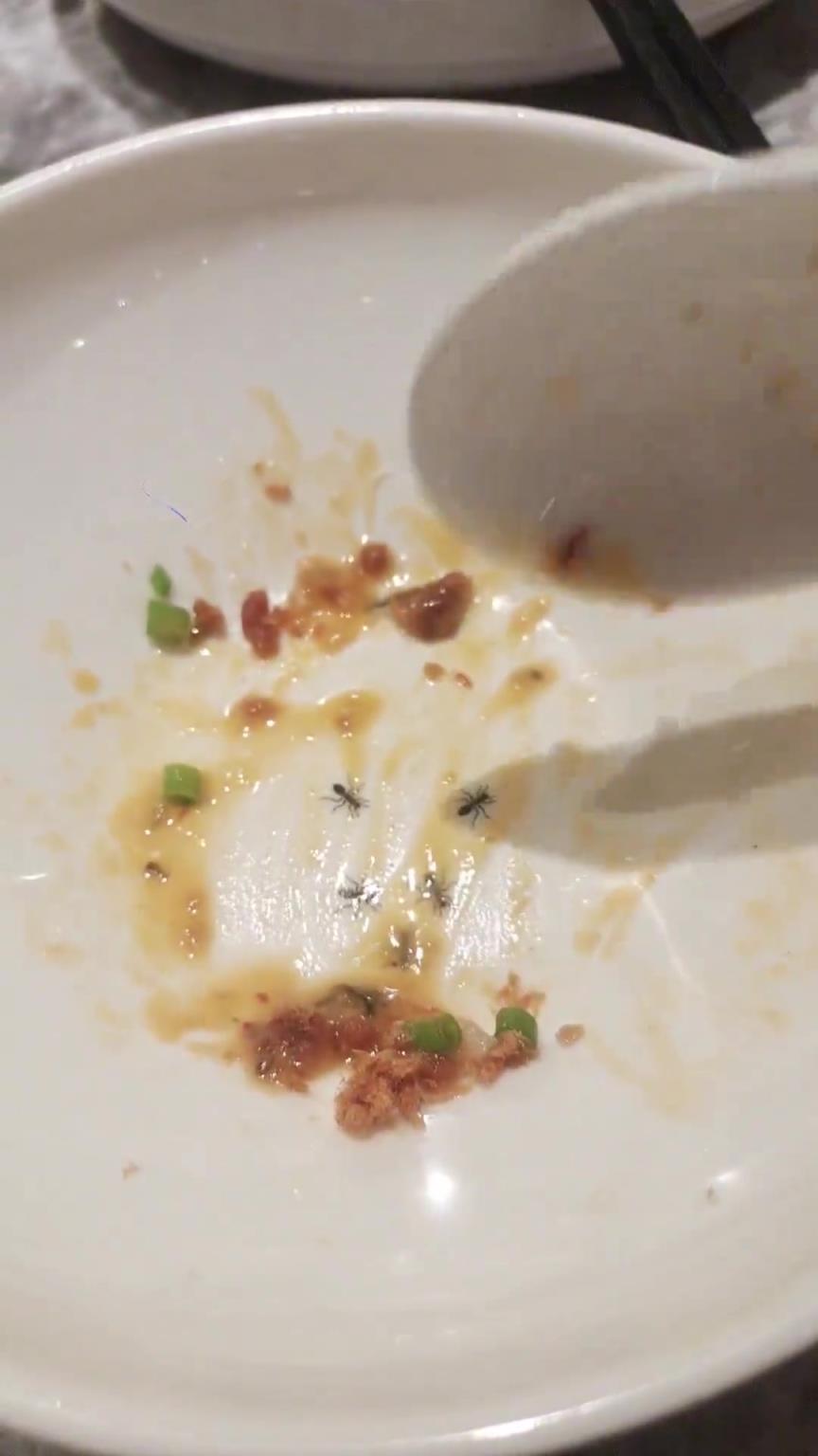 誰家盤子里印這種印花啊，還好是印上去的
