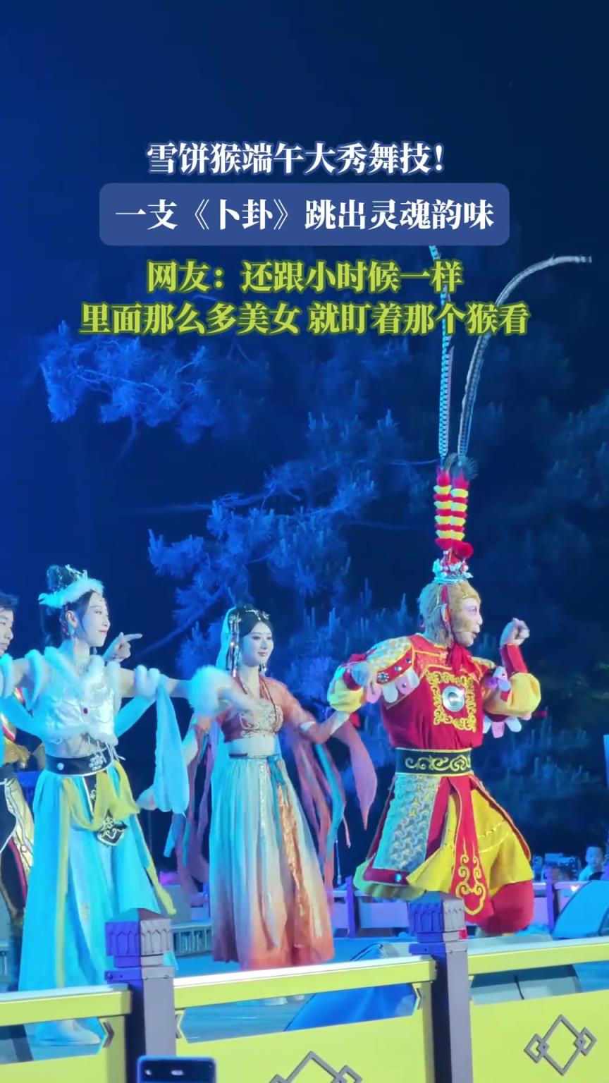 雪餅猴跳卜卦，網(wǎng)友：還跟小時(shí)候一樣，那么多美女就盯著那個(gè)猴看