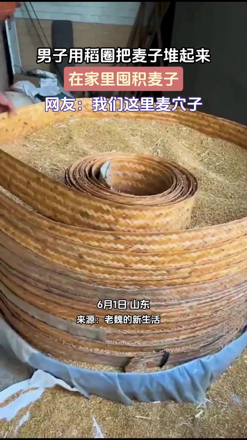 男子用稻圈把麥子堆起來，在家里囤積麥子