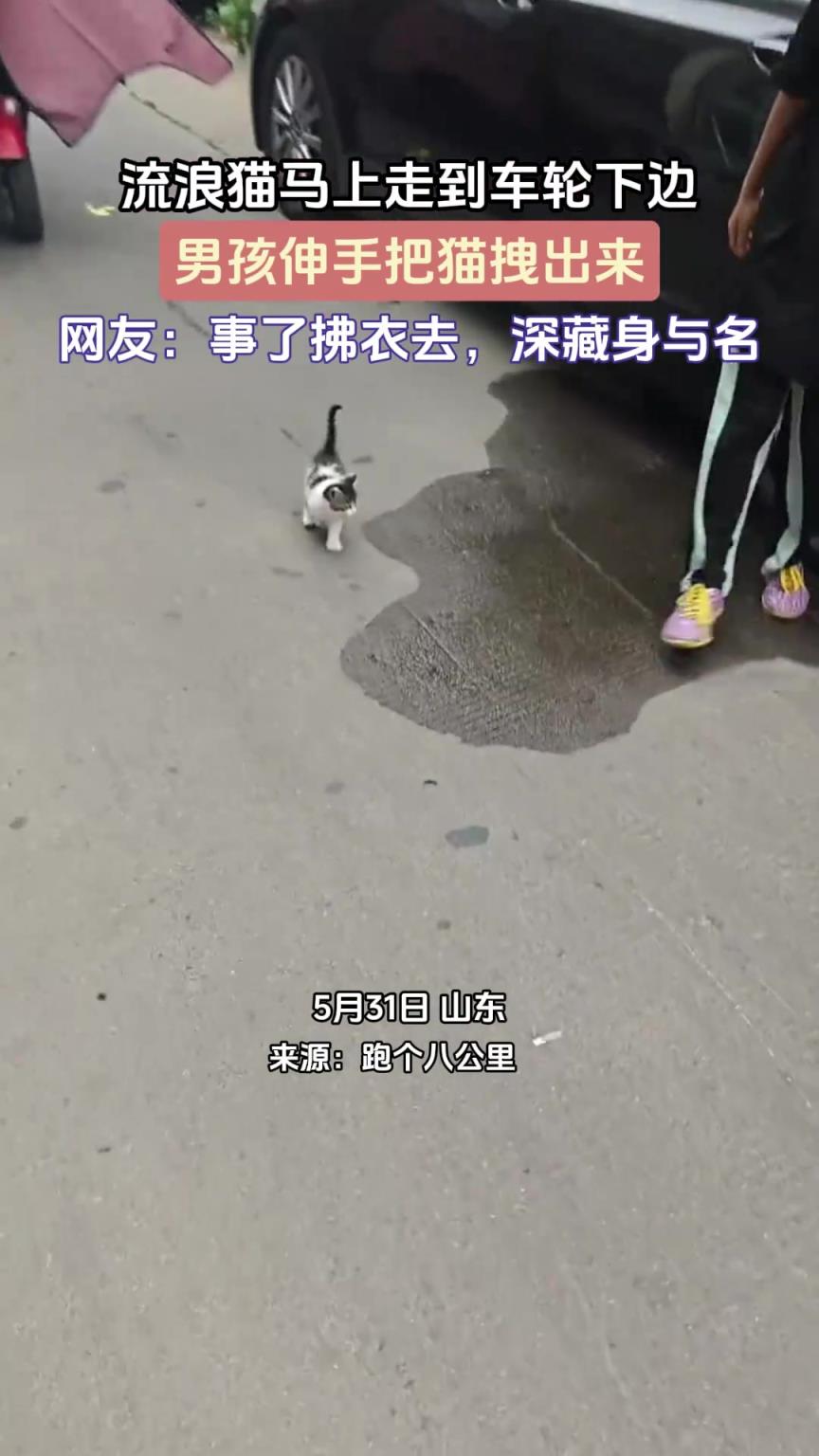流浪貓馬上走到車輪下邊，男孩伸手把貓拽出來