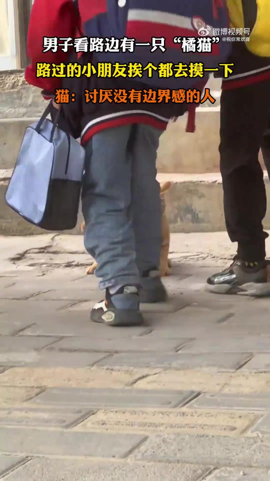 男子见路边“橘猫”，路过小朋友纷纷上前抚摸