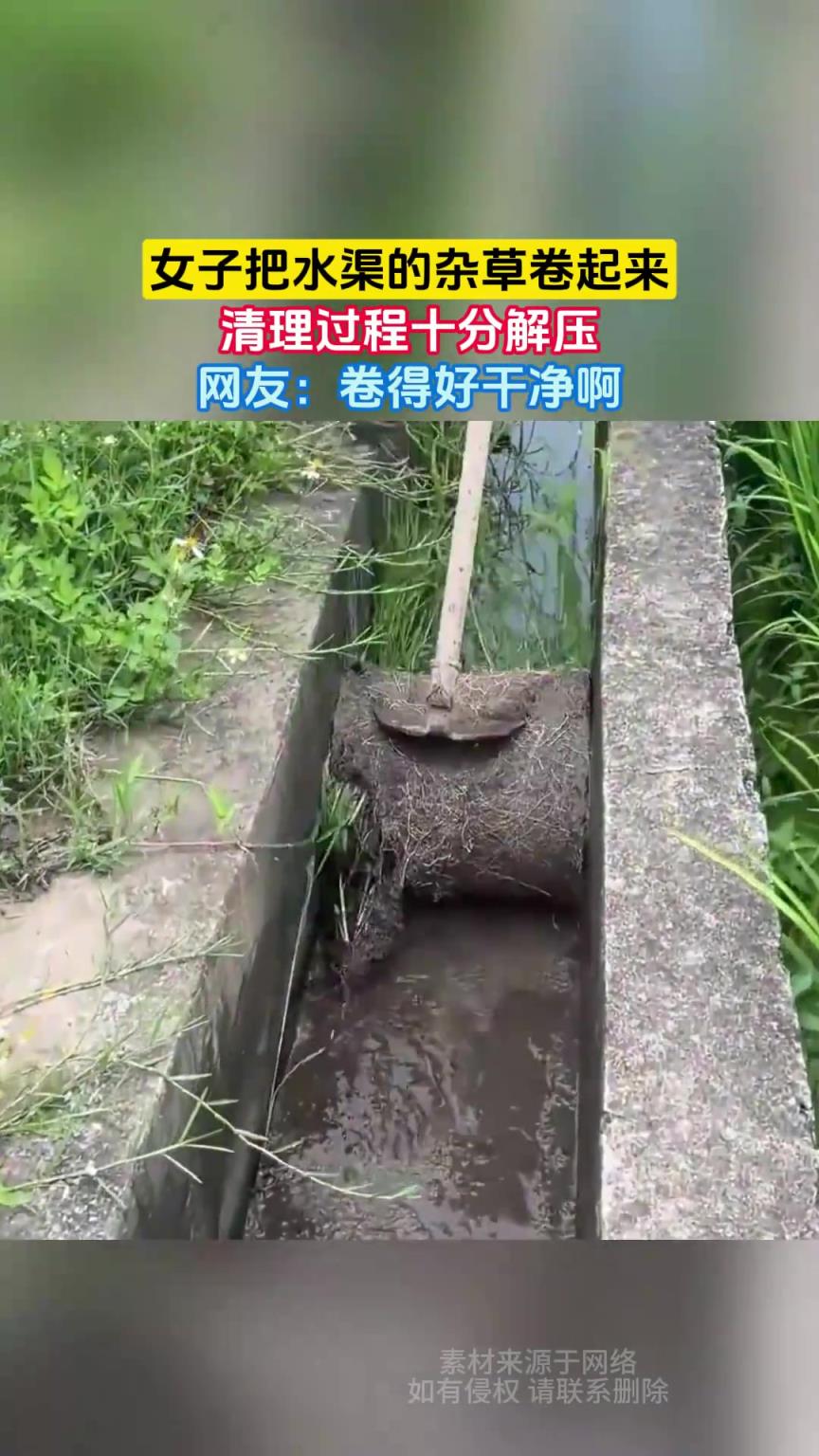 女子把水渠的雜草卷起來(lái)，清理過(guò)程十分解壓，網(wǎng)友：卷得好干凈啊