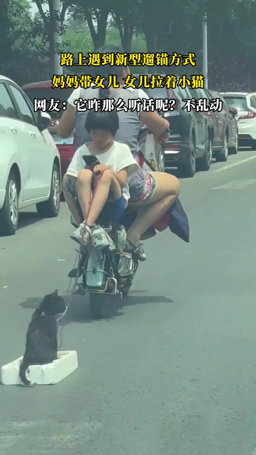 路上遇到新型遛錨方式：媽媽帶女兒，女兒拉著小貓