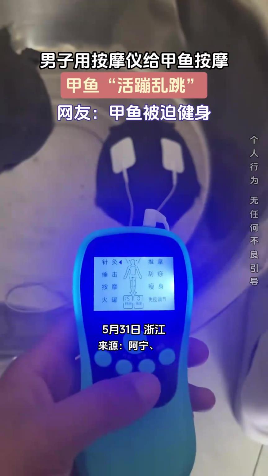 男子用按摩仪给甲鱼按摩，甲鱼“活蹦乱跳”