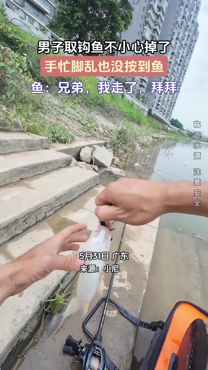男子取钩鱼不小心掉了，手忙脚乱也没按到鱼