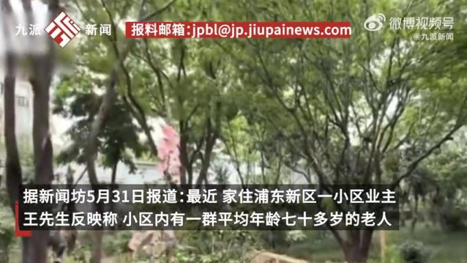 8旬老人砍掉小区20年香樟树！！
