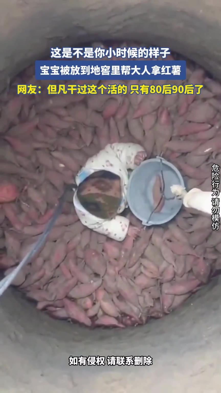 这是不是你小时候的样子？宝宝被放到地窖里帮大人拿红薯！！