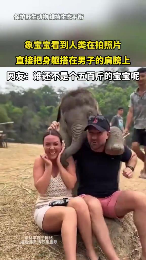 象寶寶看到人類在拍照片 直接把身軀搭在男子的肩膀上