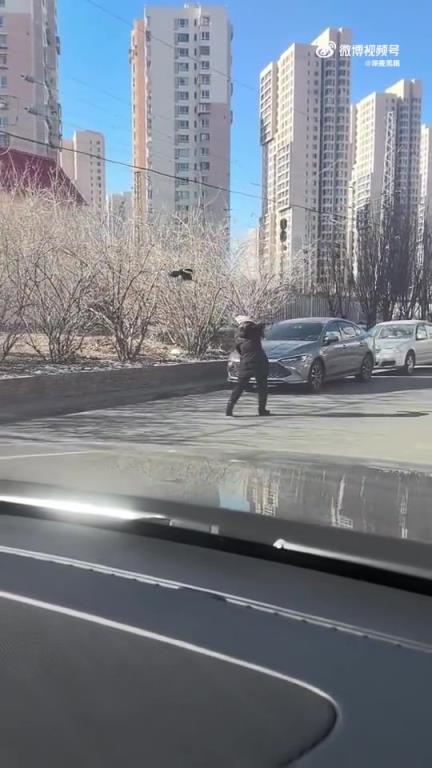 天津一小區(qū)內(nèi)，小姐姐莫名遭喜鵲懟頭“騷擾”