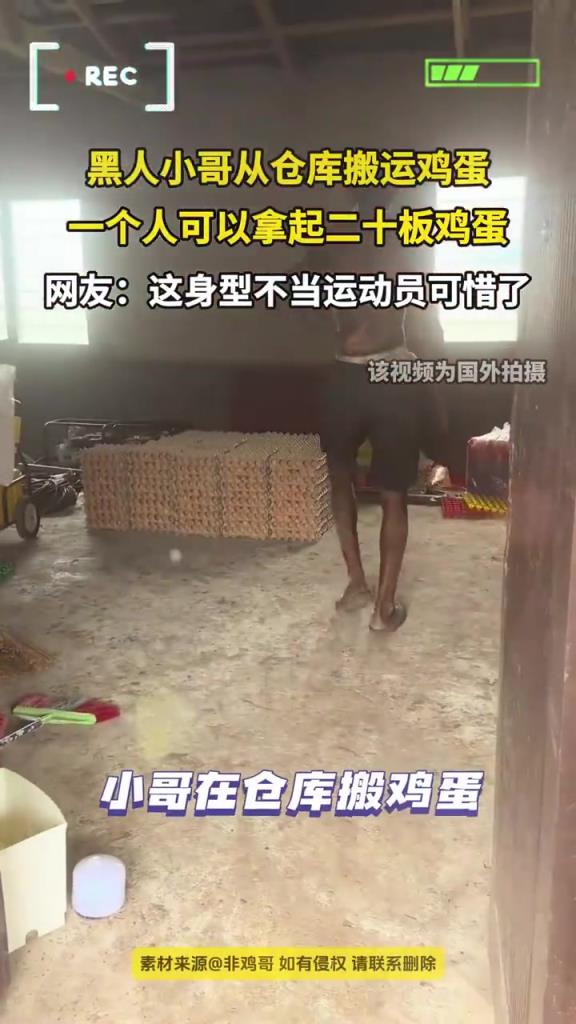 黑人小哥从仓库搬运鸡蛋 一个人可以拿起二十板鸡蛋