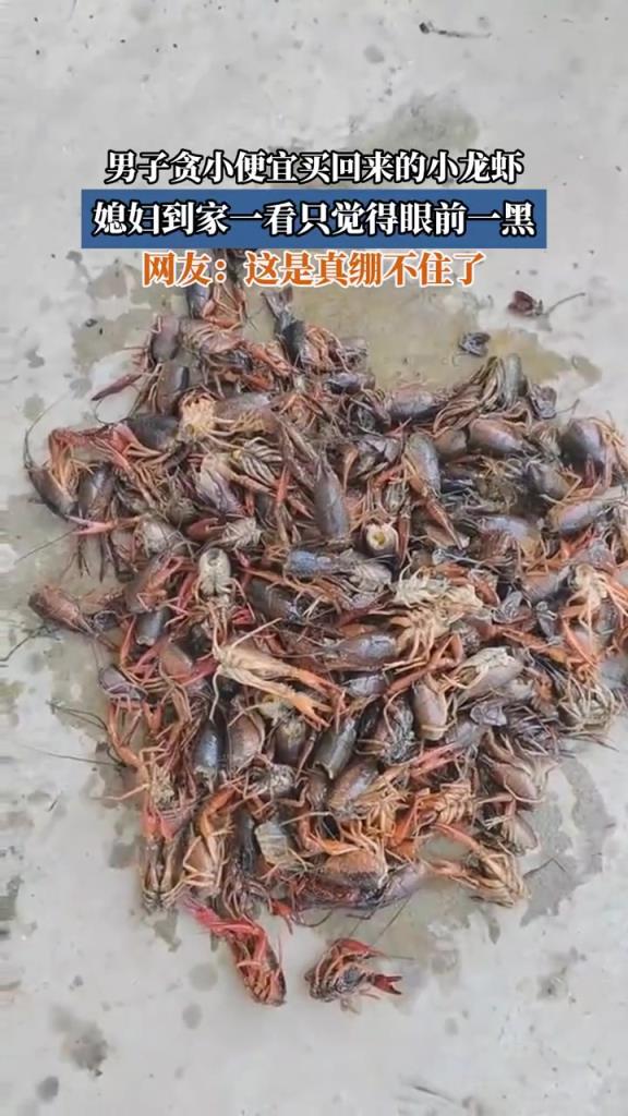 男子貪小便宜買回來的小龍蝦，媳婦到家一看只覺得眼前一黑