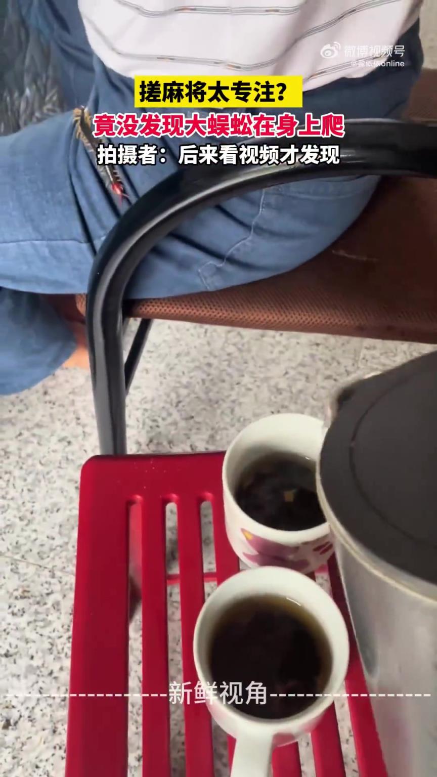 搓麻將太專注？ 竟沒發(fā)現(xiàn)大蜈蚣在身上爬 后來看視頻才發(fā)現(xiàn)