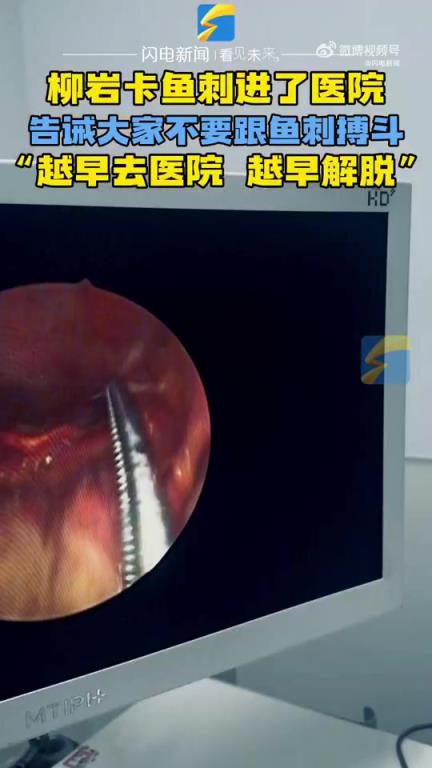 柳岩因卡鱼刺进了医院，柳岩劝大家不要跟鱼刺搏斗！