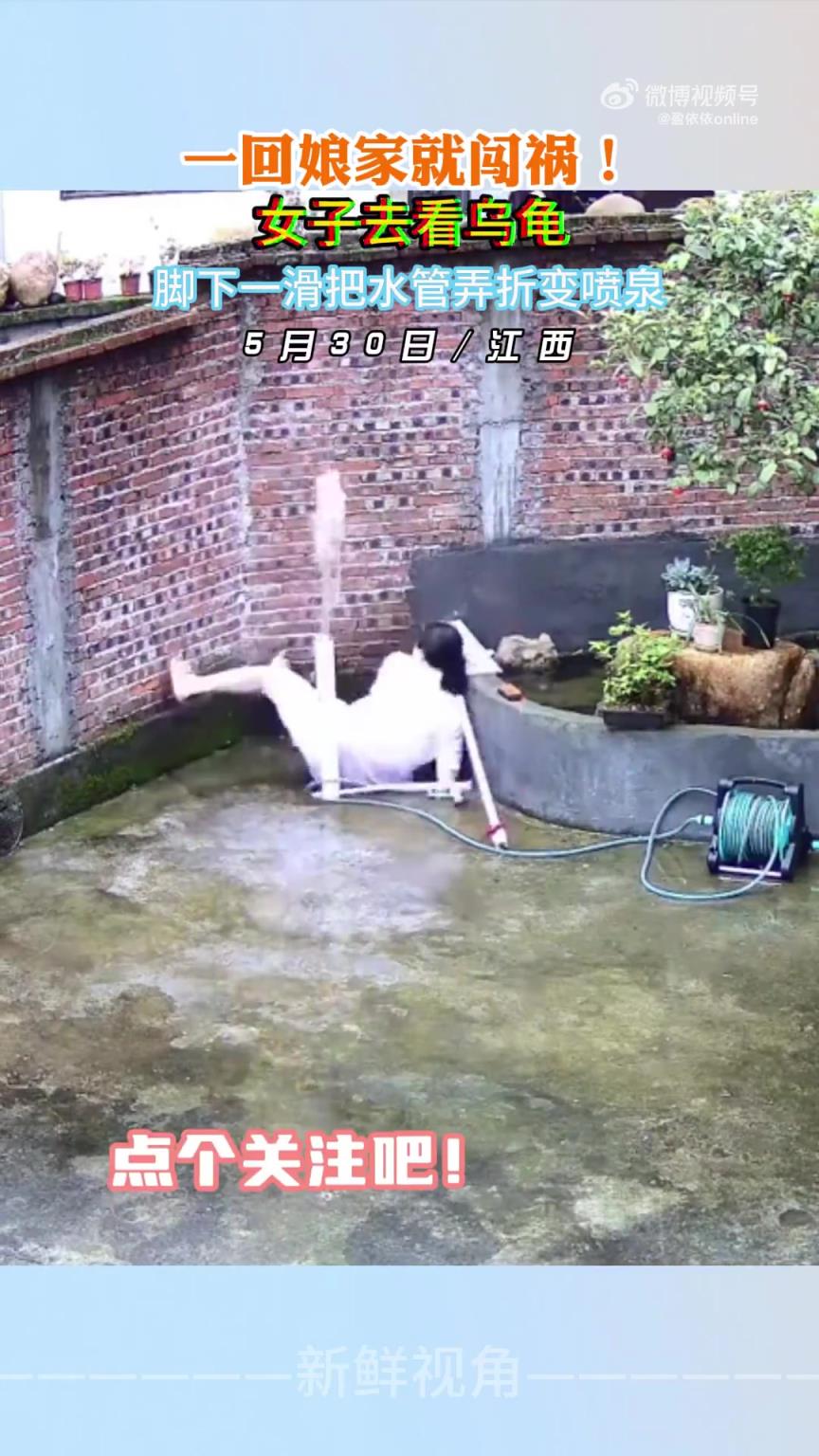 一回娘家就闖禍！女子去看烏龜腳下一滑把水管弄折變噴泉
