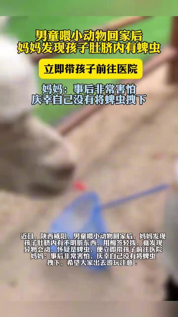 男童喂小動(dòng)物后肚臍驚現(xiàn)蜱蟲