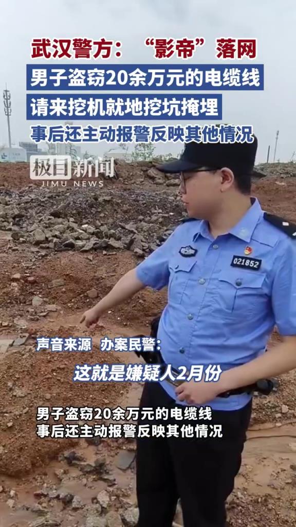 “影帝”落網(wǎng)！男子盜20余萬電纜線就地埋后反報(bào)警