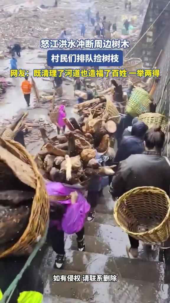 怒江洪水冲断周边树木 村民们排队捡树枝