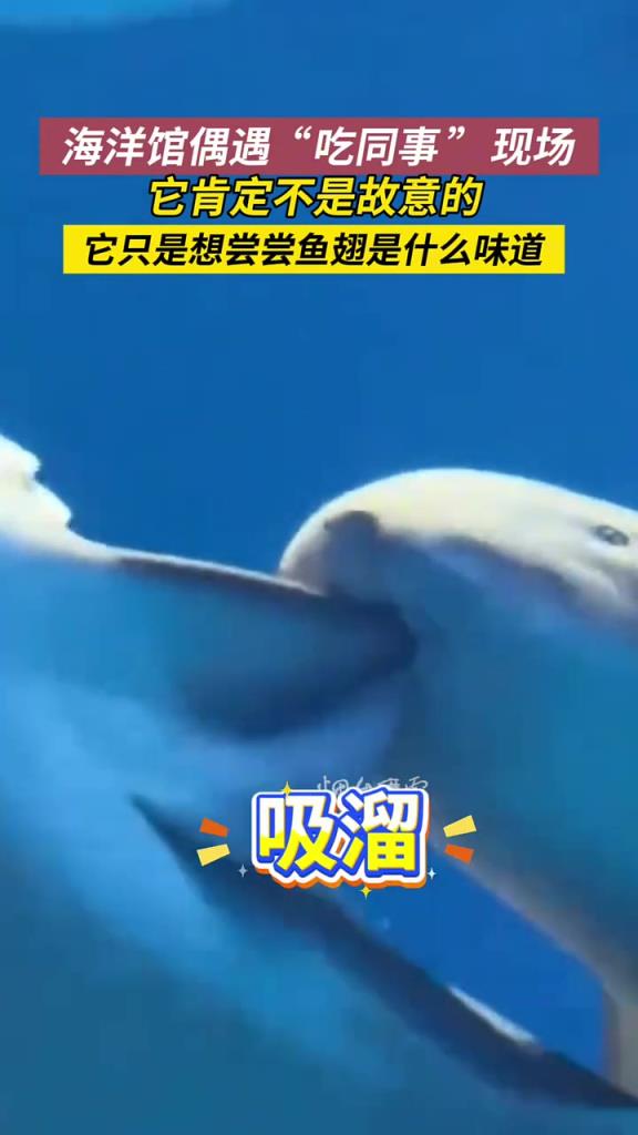 救命啊！有人上班“吃同事”！
