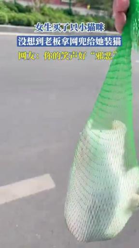 老板網(wǎng)兜裝貓引爆笑，網(wǎng)友：這是捕魚還是賣貓？