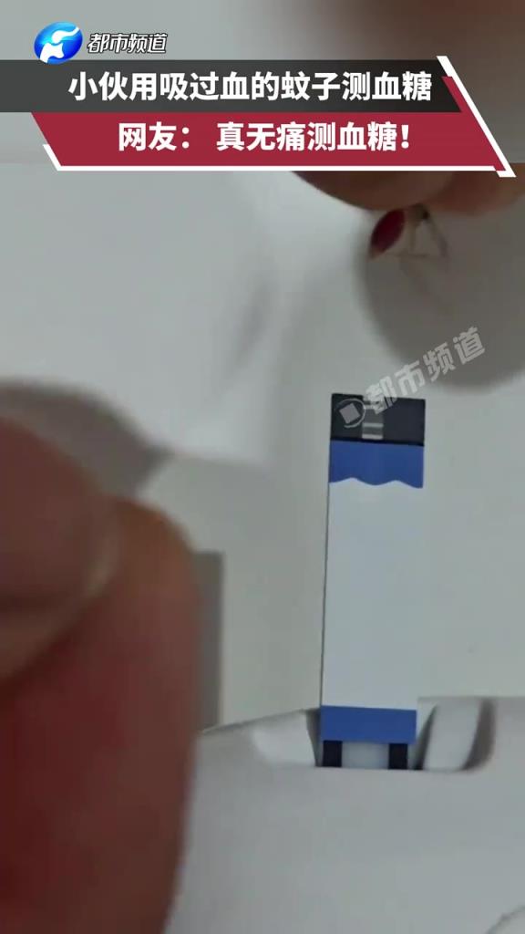 小伙用吸过血的蚊子测血糖，网友： 真无痛测血糖！