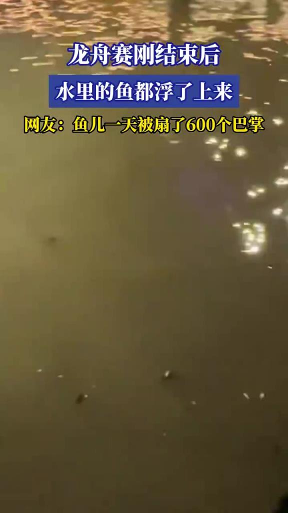 龍舟賽剛結(jié)束后 水里的魚都浮了上來(lái)