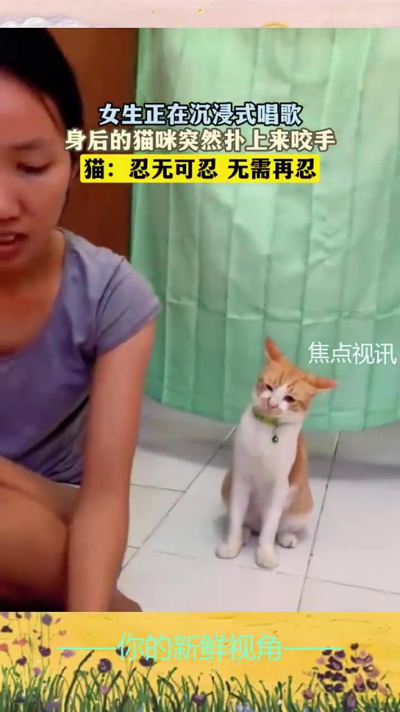 女生唱歌遭貓咪咬手，貓：這唱功我忍不了
