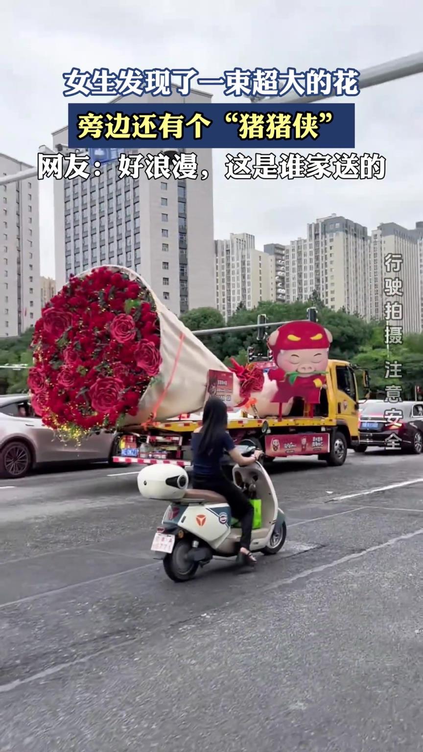 女生发现了一束超大的花，旁边还有个 “猪猪侠”