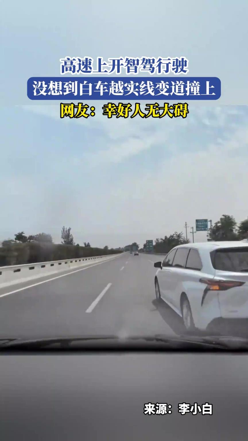 高速上開智駕行駛，沒想到白車越實線變道撞上，網友：幸好無大礙