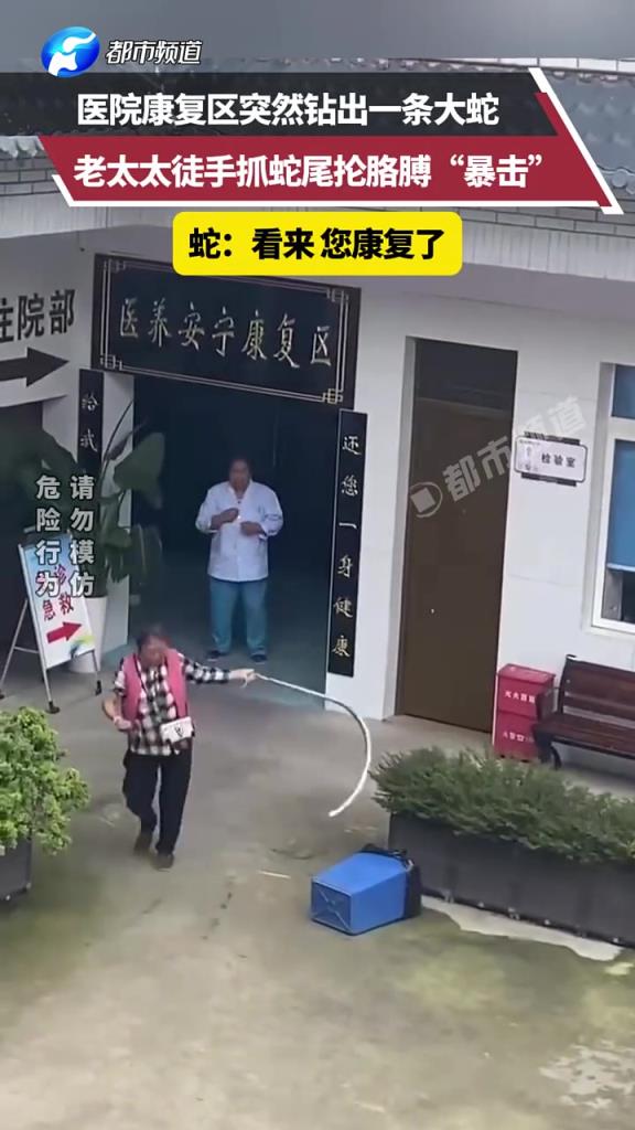 醫院突然鉆出一條大蛇，老太太徒手抓蛇尾掄胳膊“暴擊”