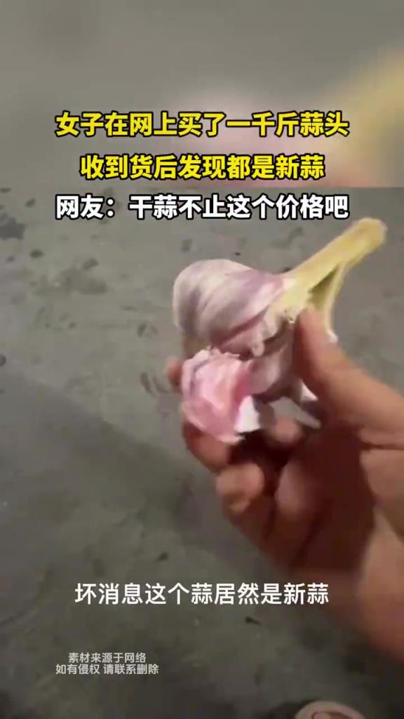 女子在網(wǎng)上買了一千斤蒜頭 收到貨后發(fā)現(xiàn)都是新蒜
