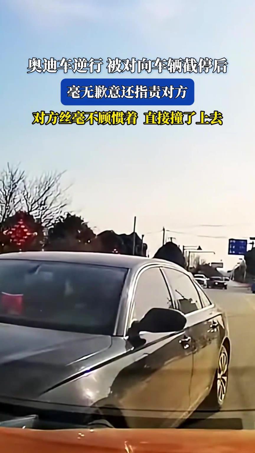 奧迪車逆行被對(duì)向車輛截停后，毫無(wú)歉意還指責(zé)對(duì)方