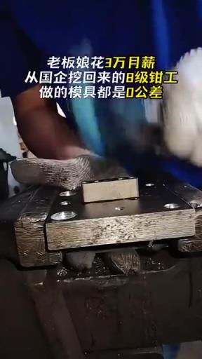 不愧是8级钳工，做的模具都是0公差