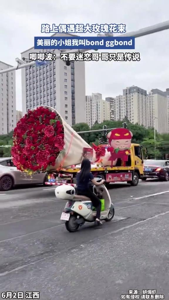 路上偶遇超大玫瑰花束