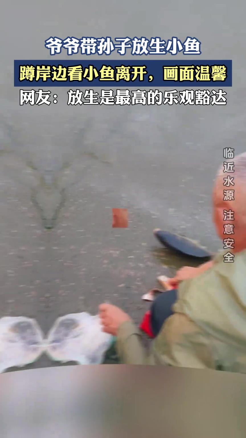 爺爺帶孫子放生小魚，蹲岸邊看小魚離開，畫面溫馨