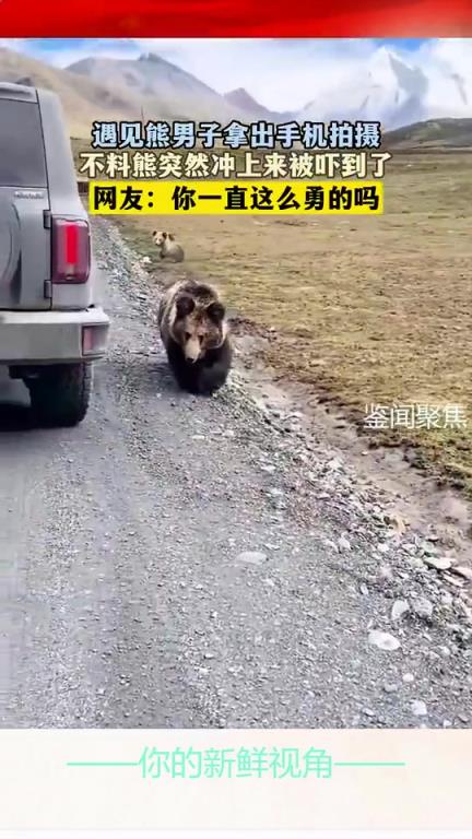 遇見熊男子拿出手機拍攝，不料熊突然沖上來被嚇到了！