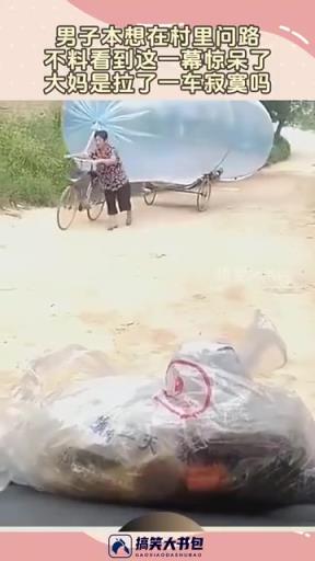 大妈是拉了一车寂寞吗？