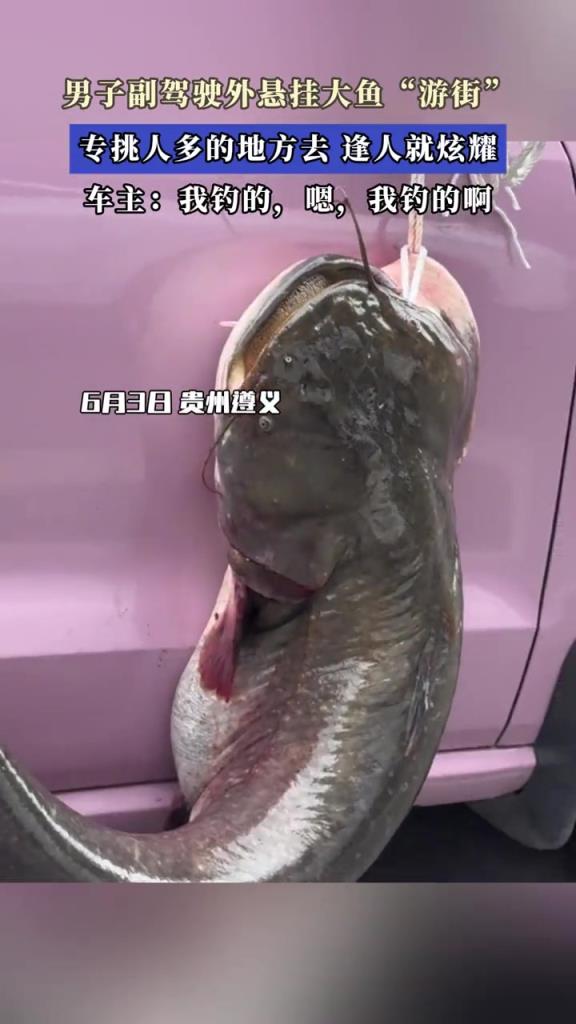男子副驾驶外悬挂大鱼“游街”,专挑人多的地方去,逢人就炫耀 !