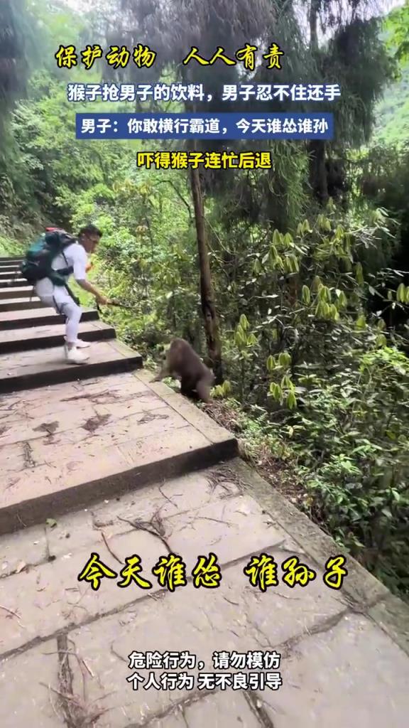 猴子搶男子的飲料，男子忍不住還手！