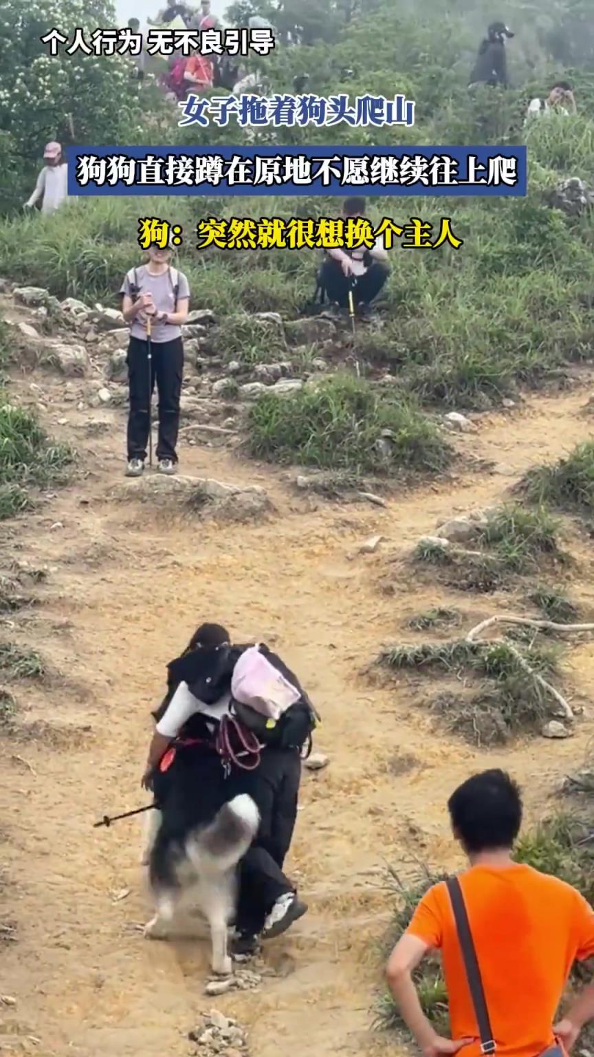 女子拖着狗头爬山，狗狗直接蹲在原地不愿继续往上爬