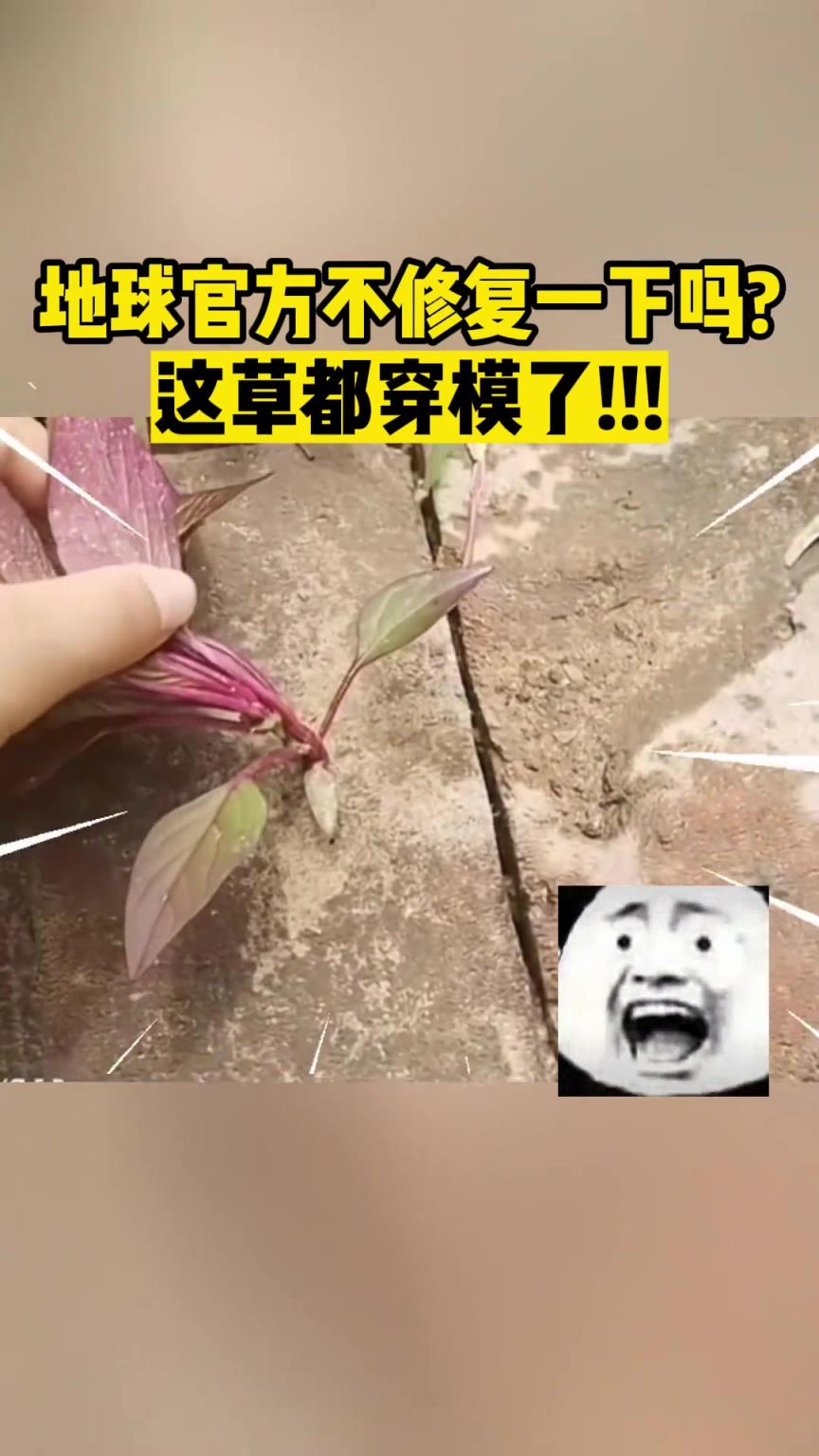 地球官方不修复一下吗？这草都穿模了!!!