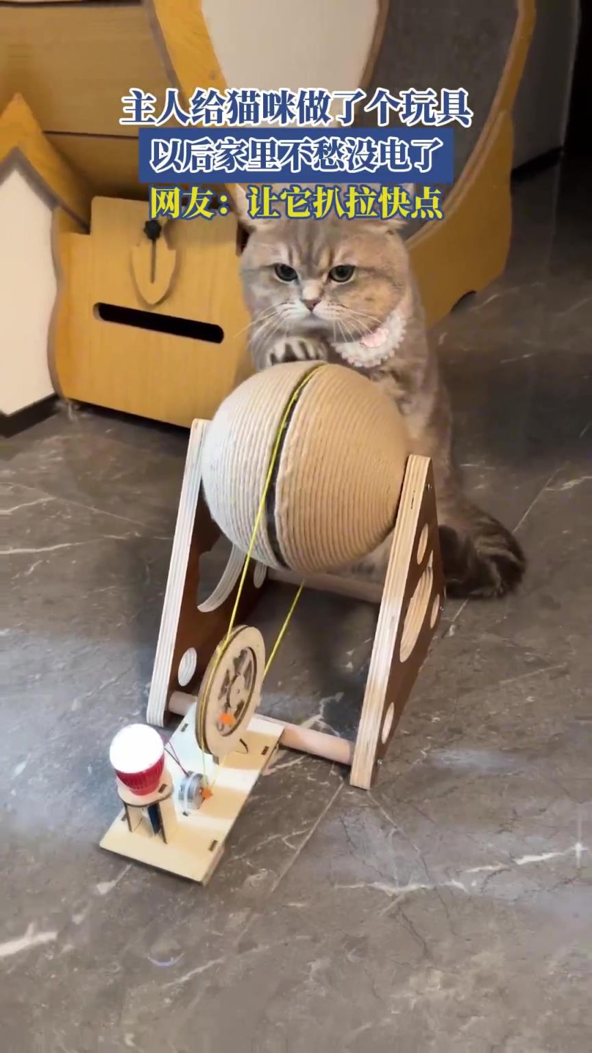 主人给猫咪做了个玩具，以后家里不愁没电了，网友：让它扒拉快点