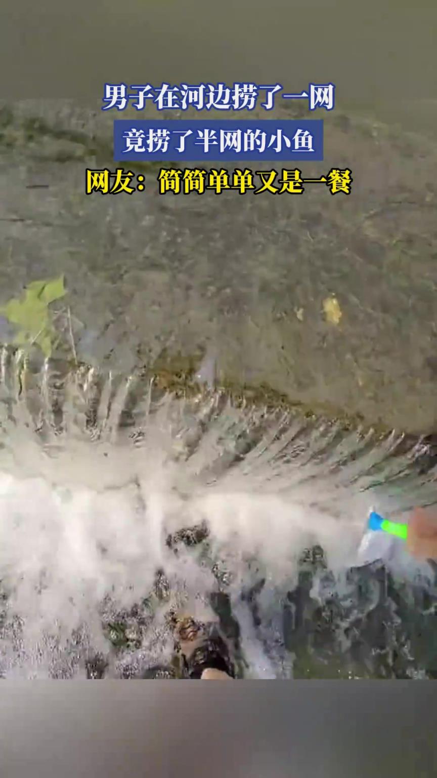 男子在河邊撈了一網(wǎng)，竟撈了半網(wǎng)的小魚，網(wǎng)友：簡簡單單又是一餐